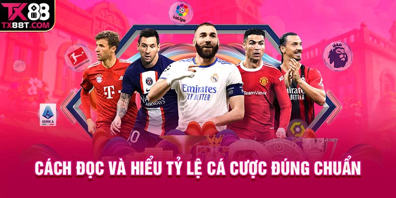 Cách đọc và hiểu tỷ lệ cá cược đúng chuẩn