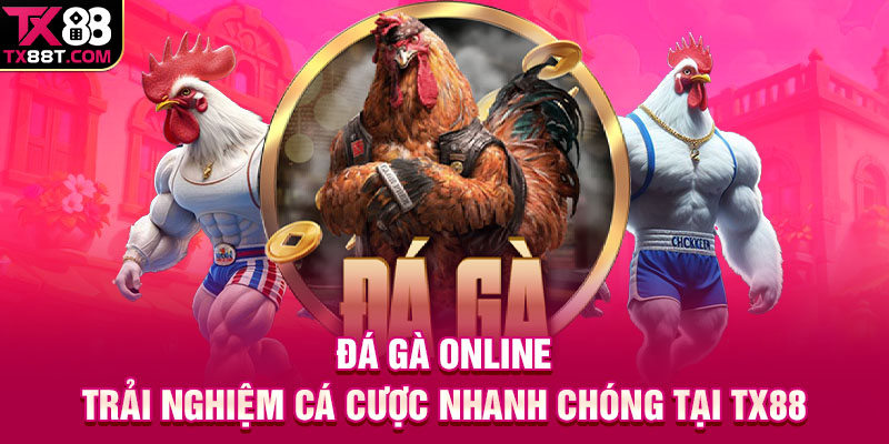 Đá Gà Online | Trải Nghiệm Cá Cược Nhanh Chóng Tại TX88