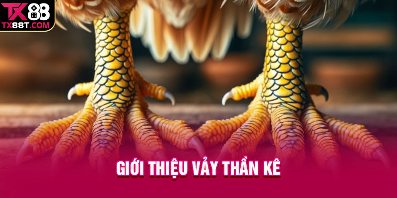 Giới thiệu vảy thần kê