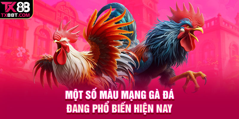 Một số màu mạng gà đá đang phổ biến hiện nay