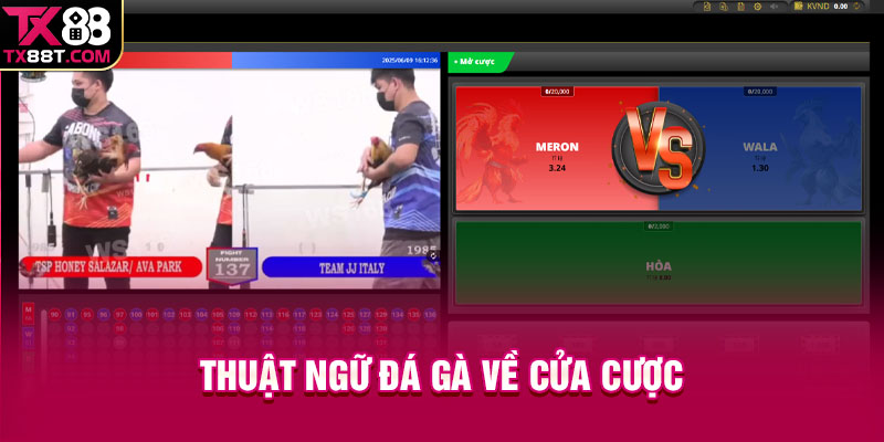 Thuật ngữ đá gà về cửa cược
