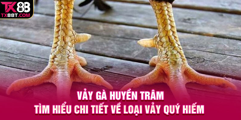 Vảy Gà Huyền Trâm | Tìm Hiểu Chi Tiết Về Loại Vảy Quý Hiếm